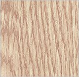 Carpathian spruce